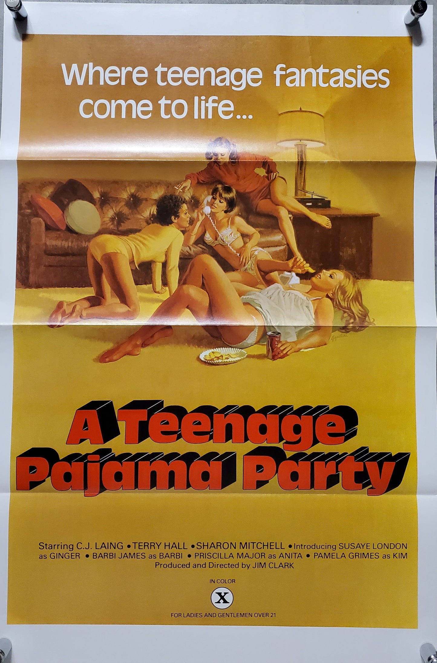 A TEENAGE PAJAMA PARTY movie poster