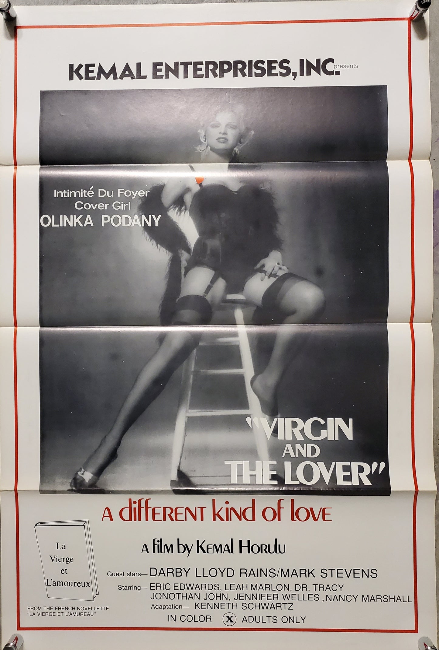 VIRGIN AND THE LOVER movie poster