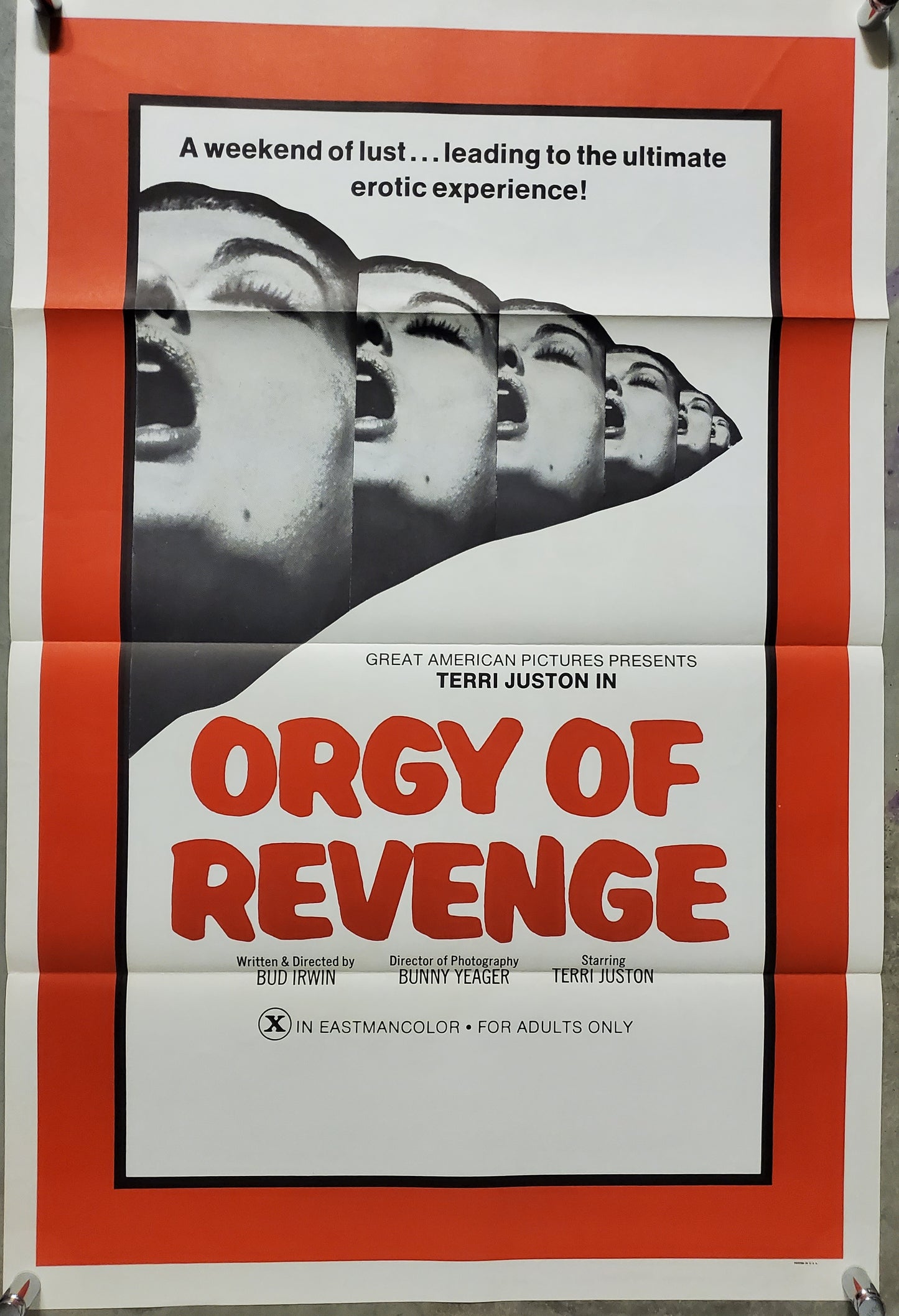 ORGY OF REVENGE movie poster