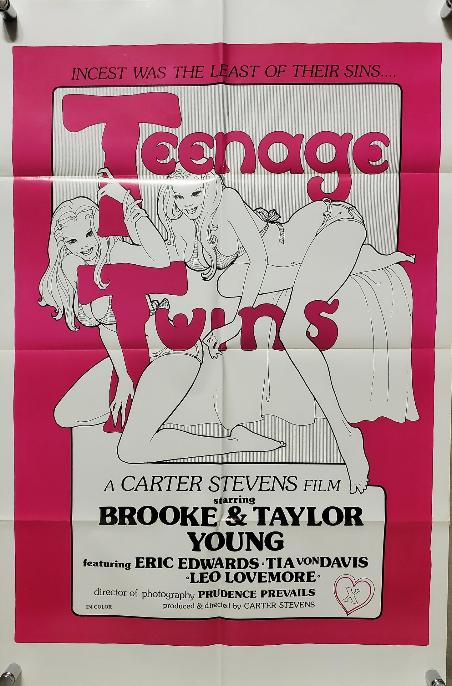 TEENAGE TWINS movie poster