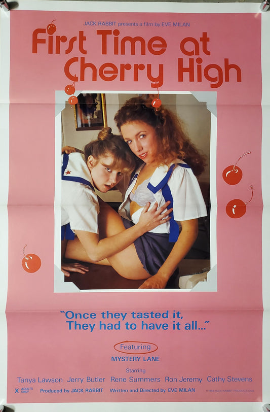 FIRST TIME AT CHERRY HIGH movie poster