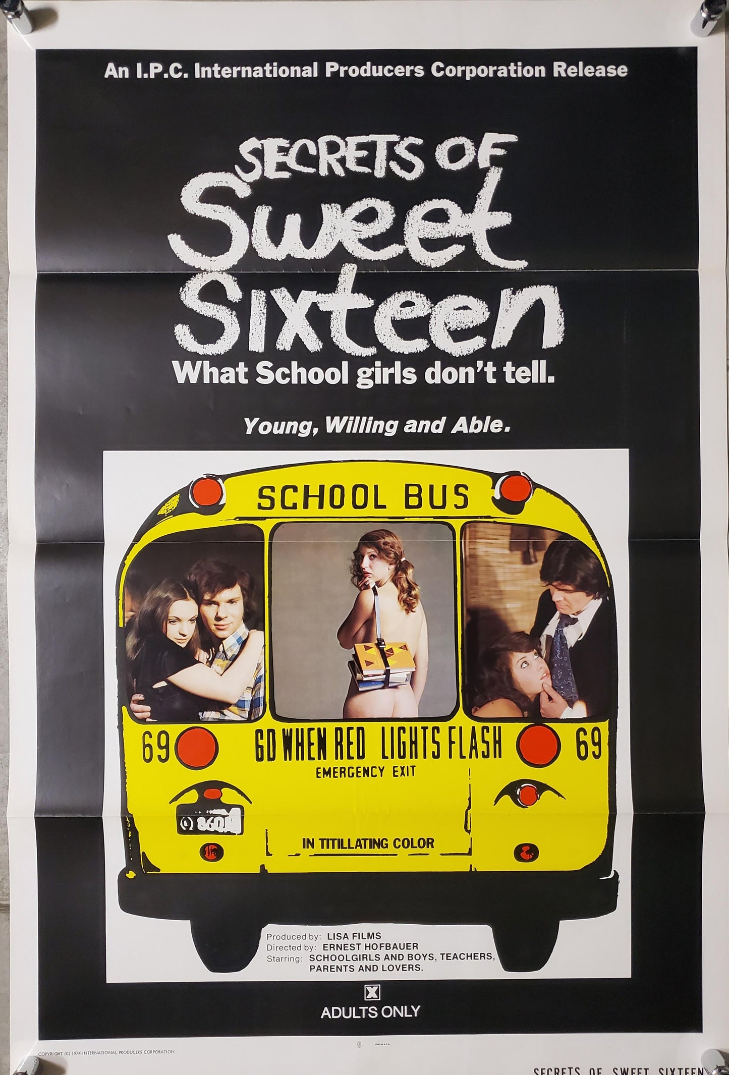 SECRETS OF SWEET SIXTEEN movie poster