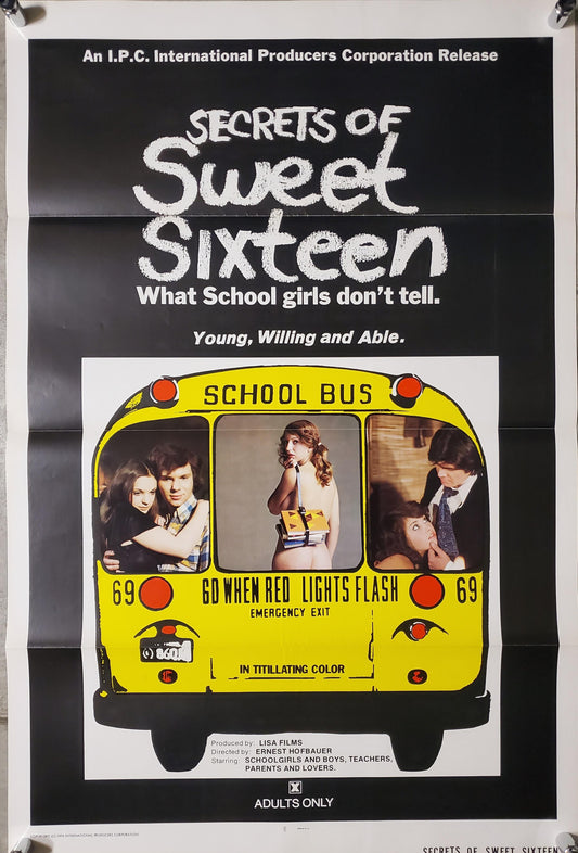 SECRETS OF SWEET SIXTEEN movie poster