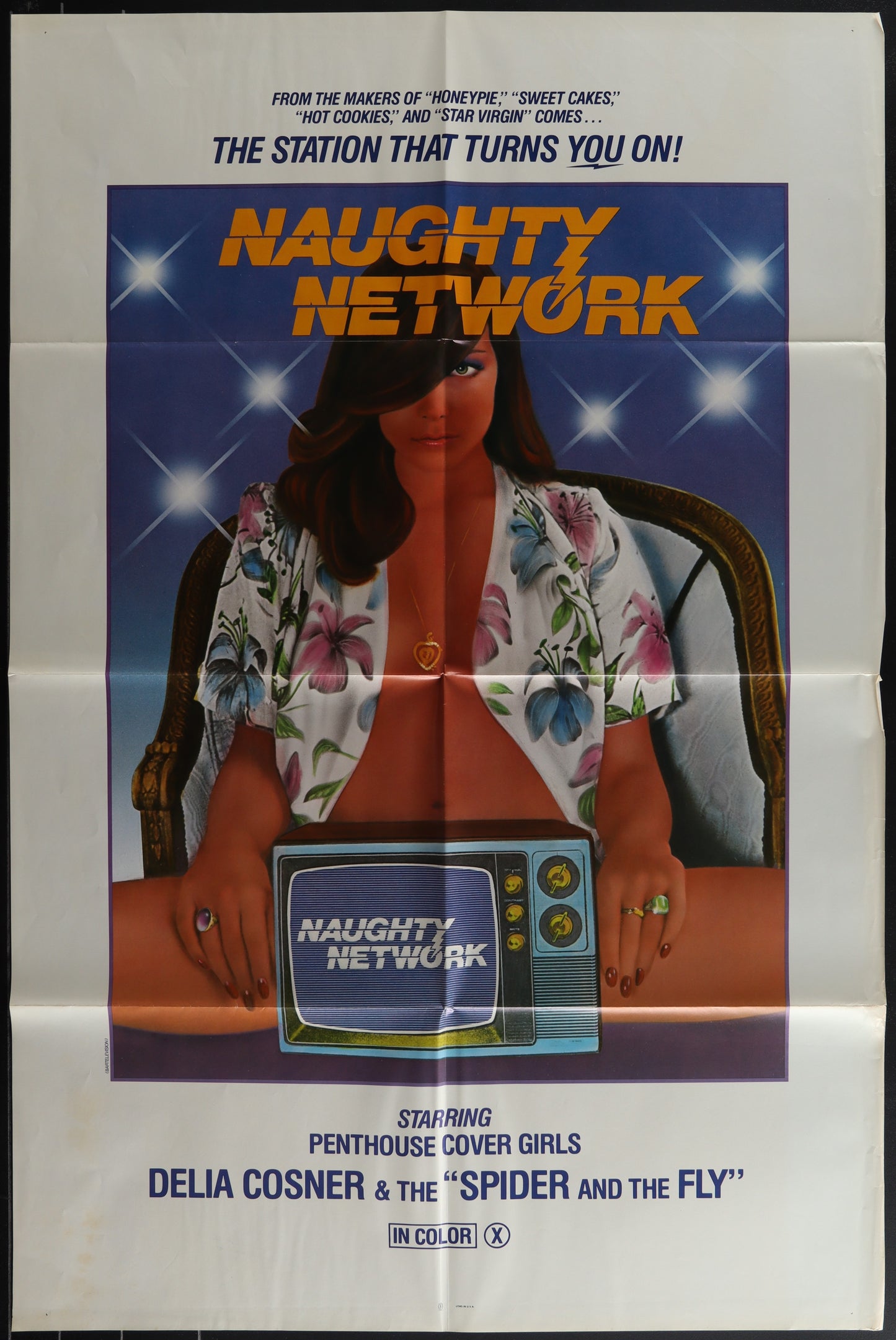 NAUGHTY NETWORK (folded) movie poster