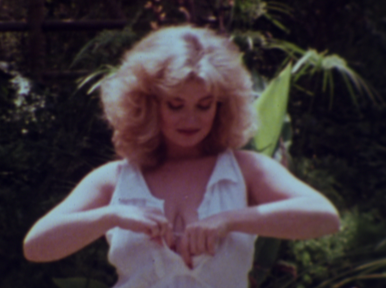 WILDHEART: The Leslie Winston Collection Blu-ray