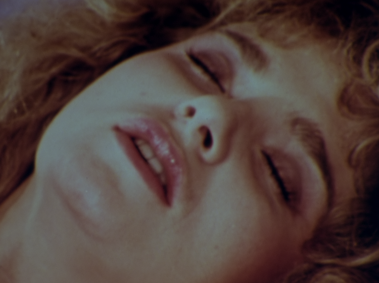 WILDHEART: The Leslie Winston Collection Blu-ray