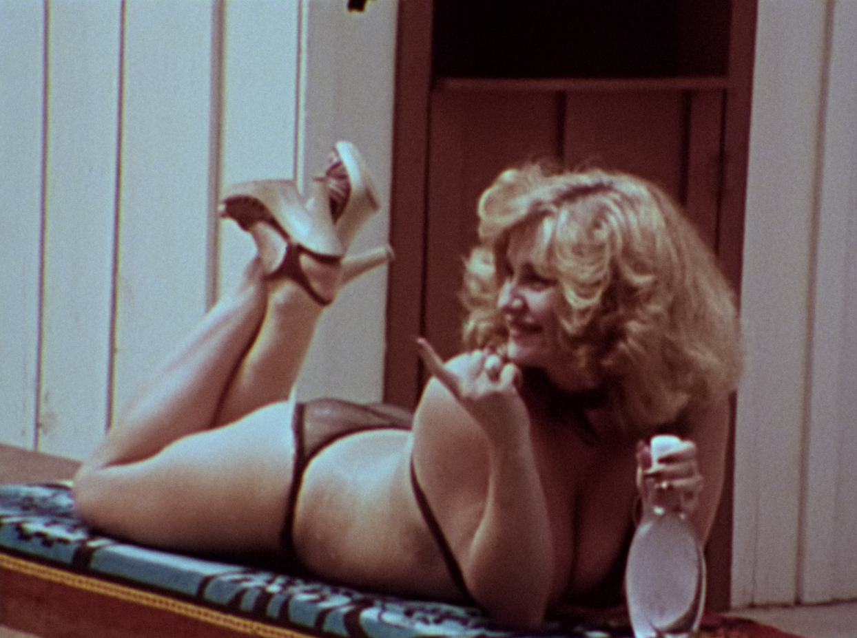 WILDHEART: The Leslie Winston Collection Blu-ray