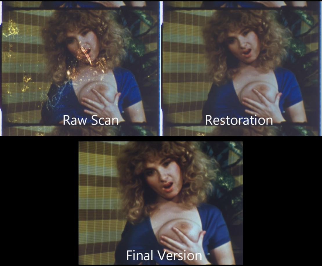 WILDHEART: The Leslie Winston Collection Blu-ray