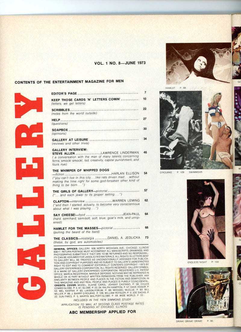 GALLERY June 1973 magazine